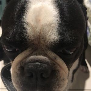 Meet your Posher, Bob